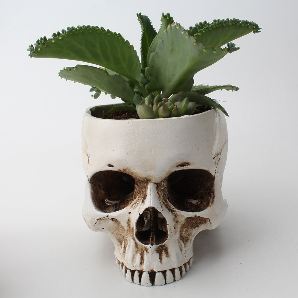 Skull Succulent Planter, Gothic Desktop Flower Pot