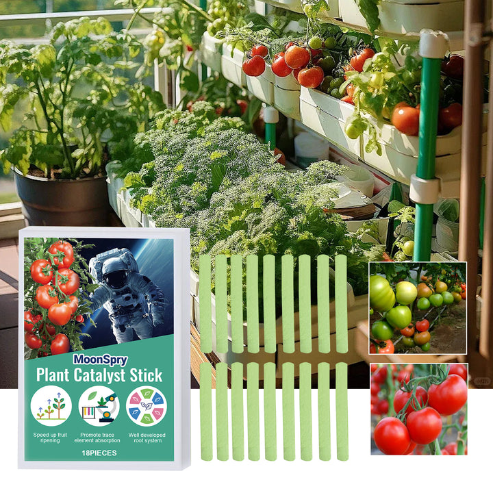 Plant Fertilizer Sticks for Stronger Roots & Growth