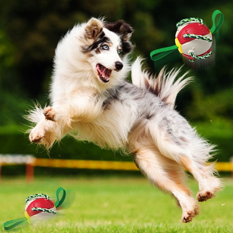 Interactive Dog Frisbee Toy for Outdoor Fetch & Tug