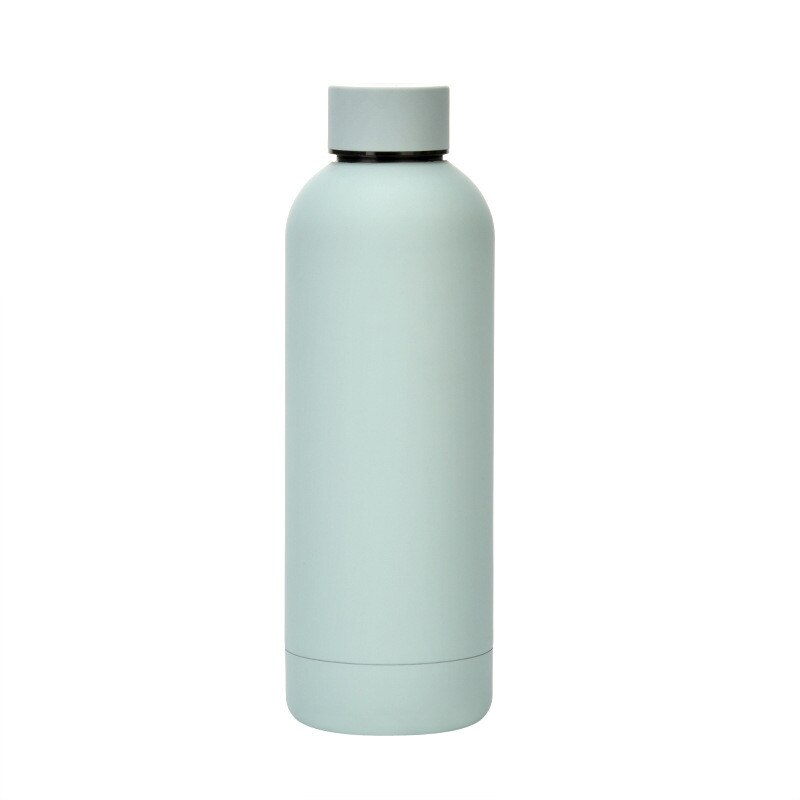500ml Insulated Water Bottle, Leak-Proof Matte Steel