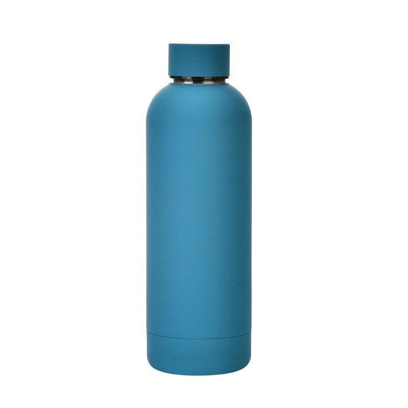 500ml Insulated Water Bottle, Leak-Proof Matte Steel