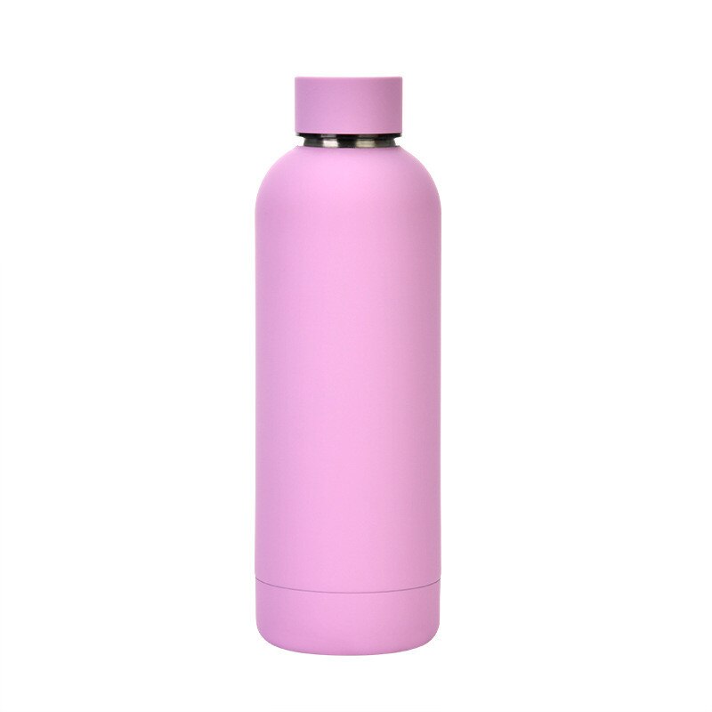 500ml Insulated Water Bottle, Leak-Proof Matte Steel