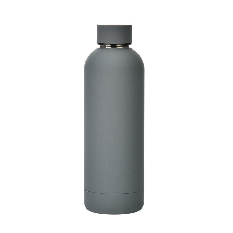 500ml Insulated Water Bottle, Leak-Proof Matte Steel