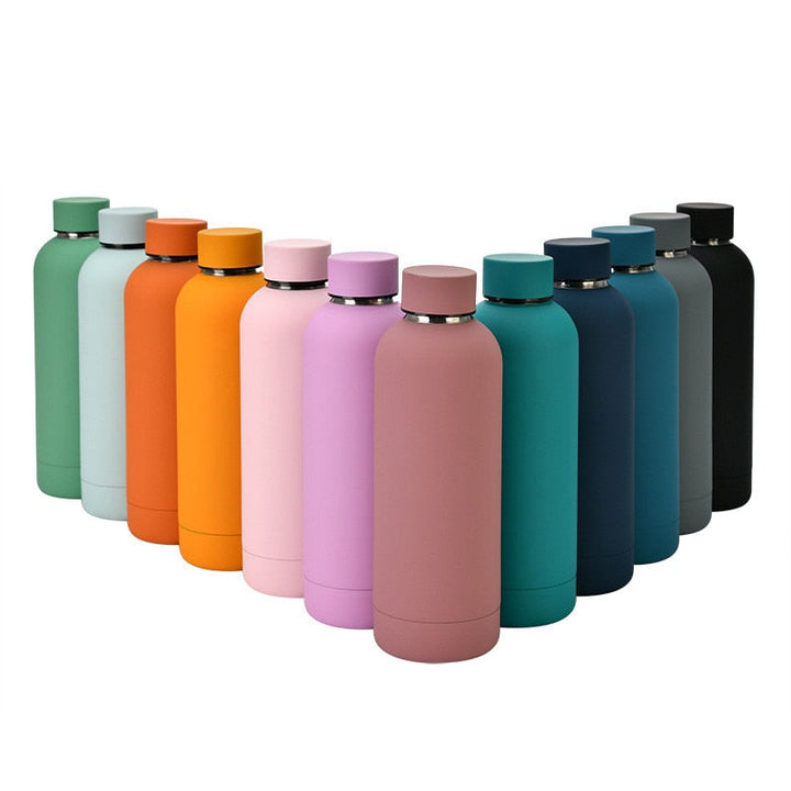 500ml Insulated Water Bottle, Leak-Proof Matte Steel