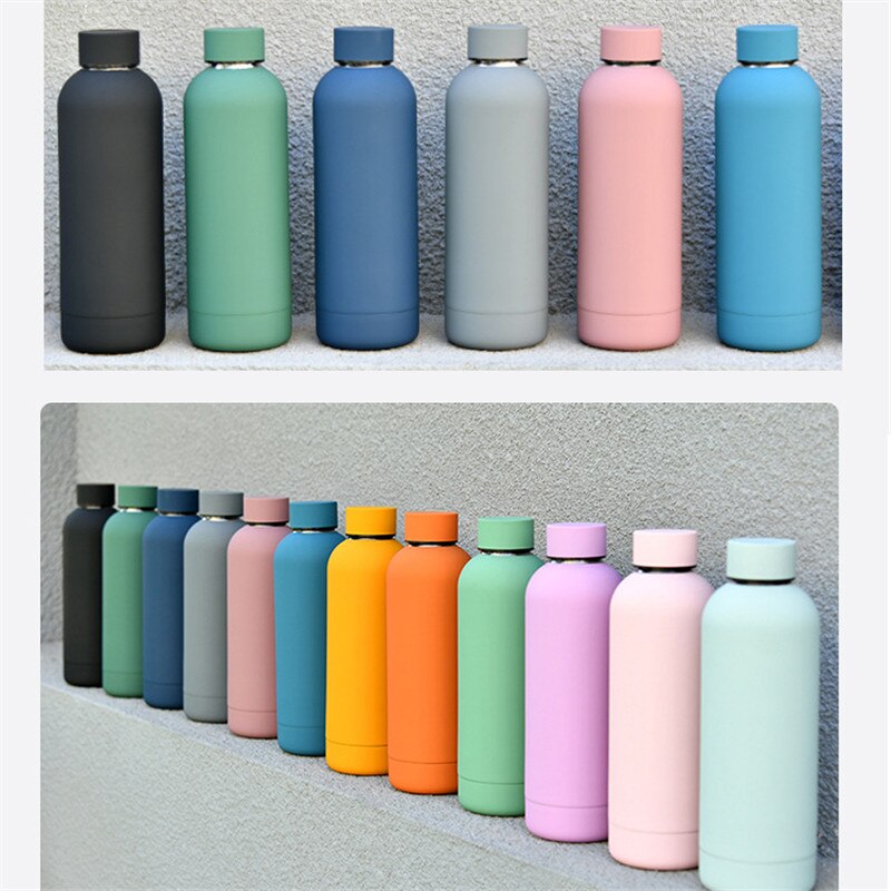 500ml Insulated Water Bottle, Leak-Proof Matte Steel