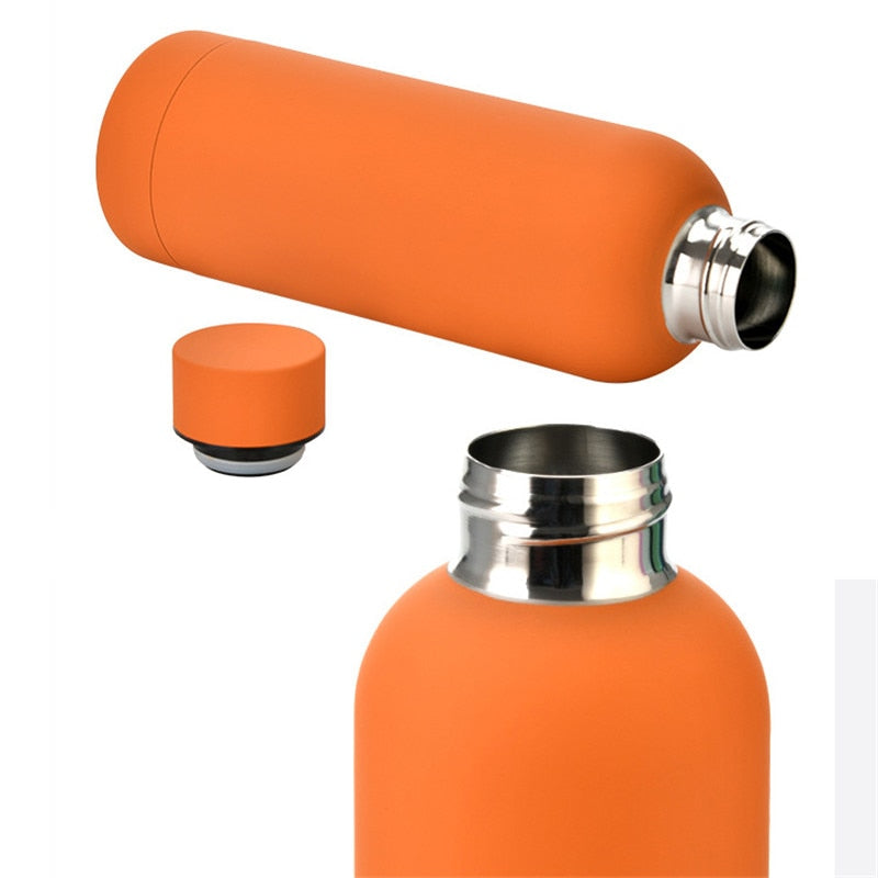 500ml Insulated Water Bottle, Leak-Proof Matte Steel