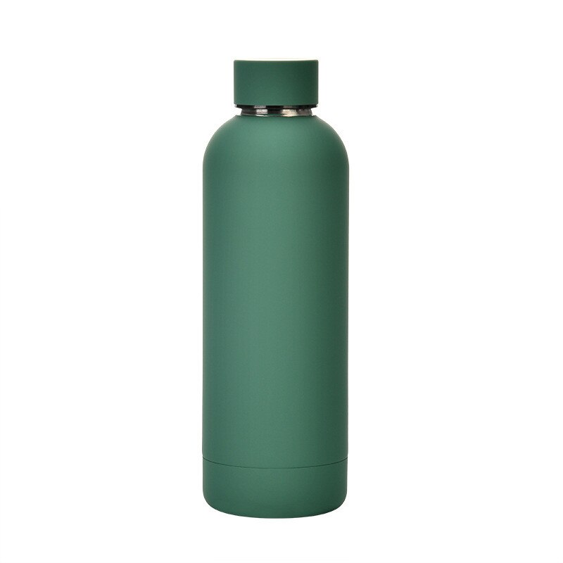500ml Insulated Water Bottle, Leak-Proof Matte Steel