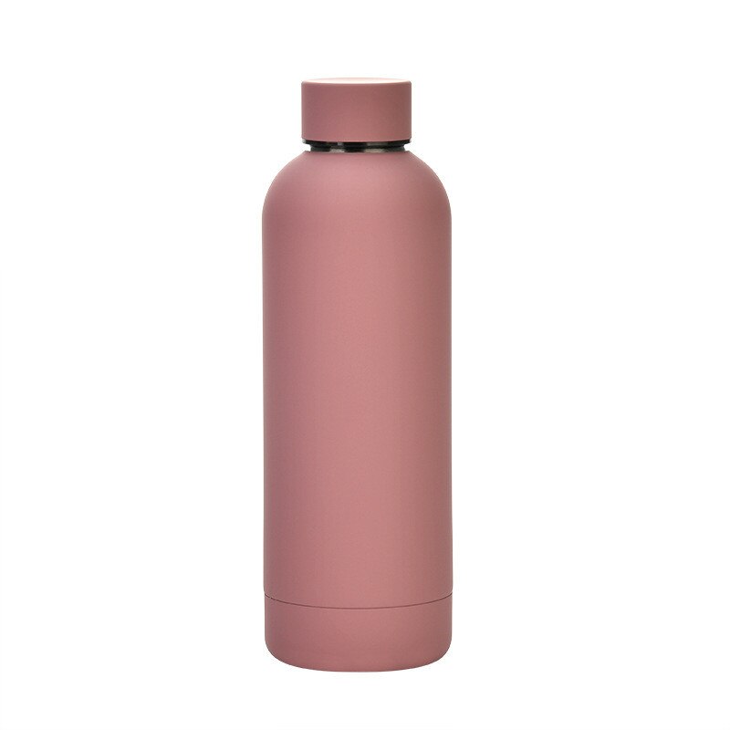 500ml Insulated Water Bottle, Leak-Proof Matte Steel