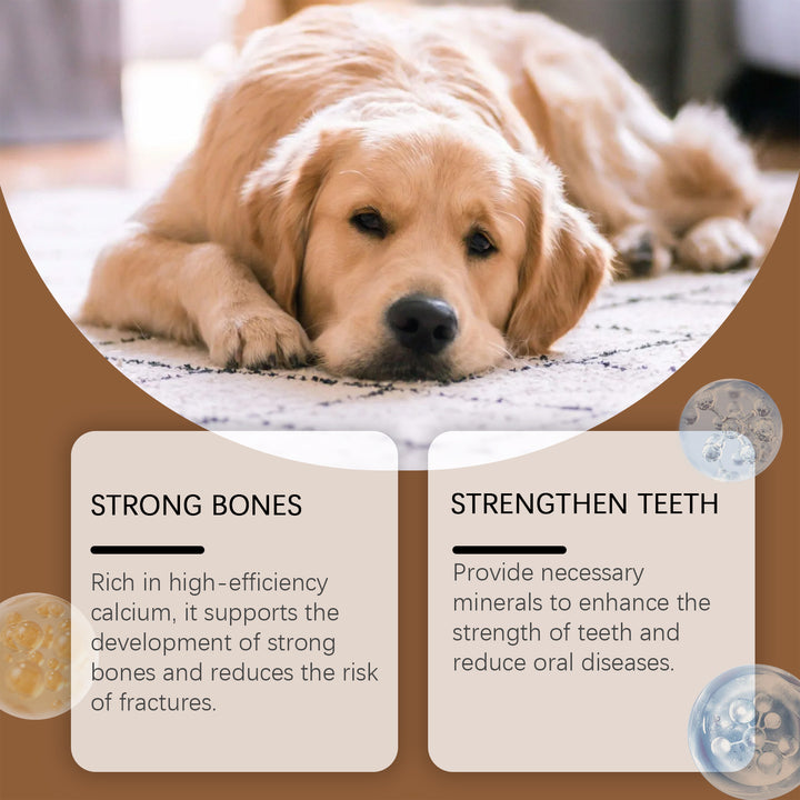 Dog Calcium Tablets for Stronger Bones and Healthier Teeth