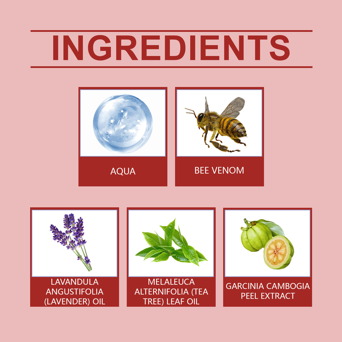 Bee Venom Joint Cream for Soothing Daily Joint Massage