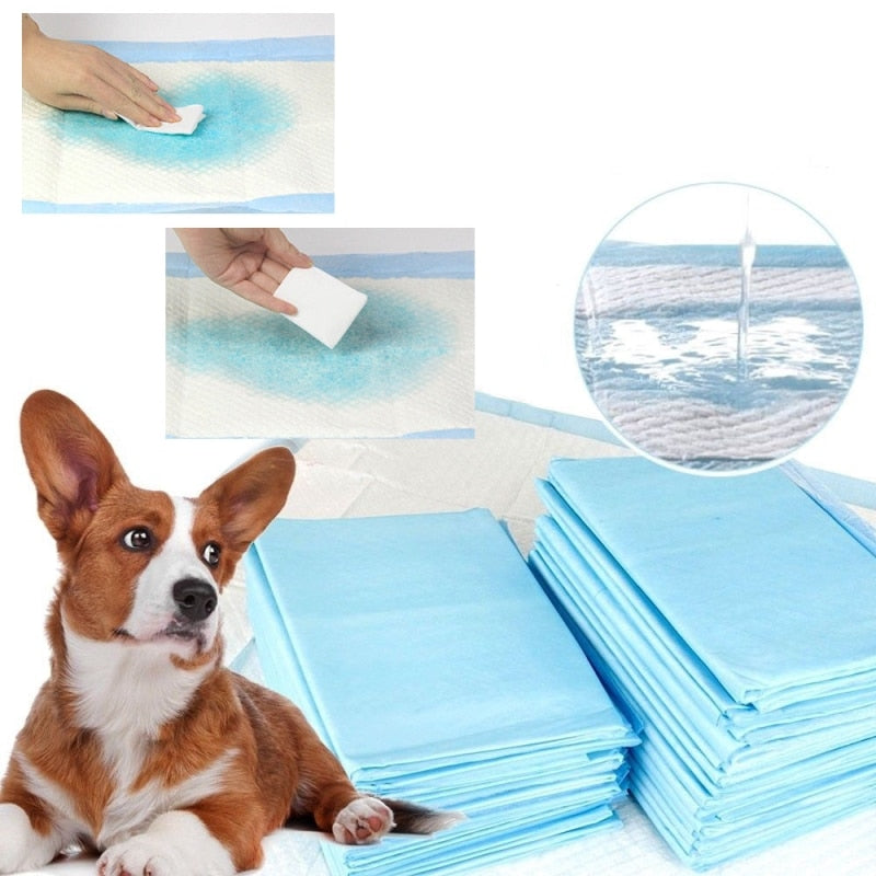 Dog Pee Pads for Puppy Training & Senior Dog Care