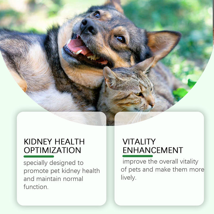 Daily Pet Urinary Support Liquid Supplement for Dogs & Cats