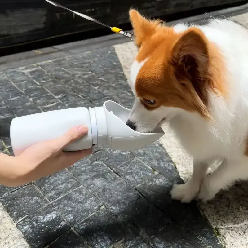 Portable Pet Water Bottle 550ml With Foldable Bowl