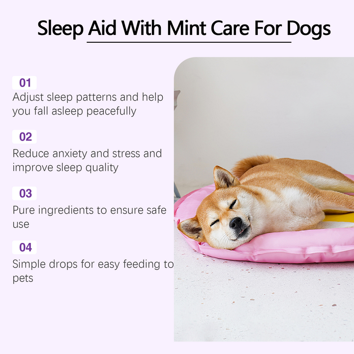 Dog Sleep Drops — Calmer Nights With Mint