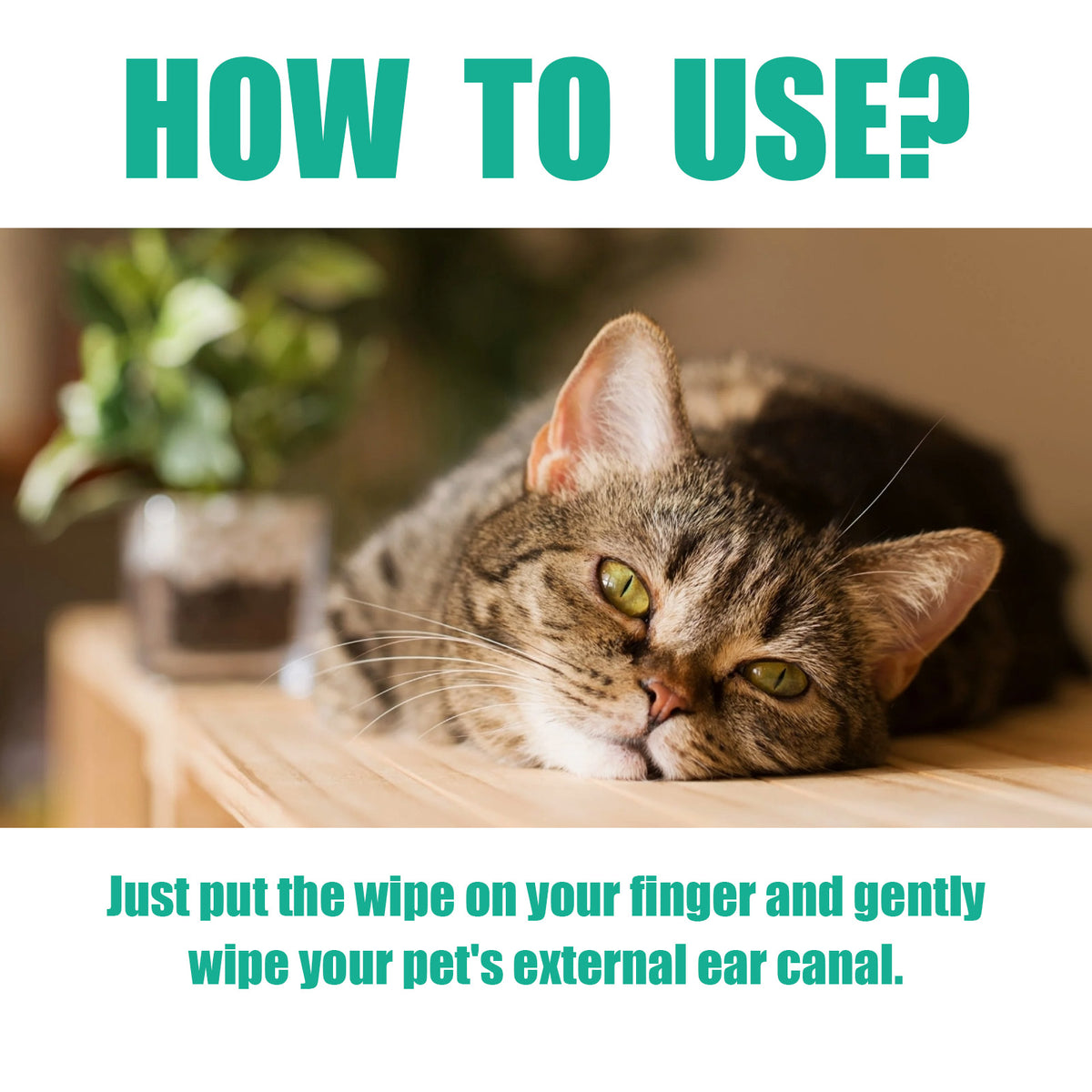 Pet Ear Cleaner Finger Wipes for Gentle Ear Grooming
