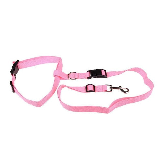 Hands-Free Dog Running Leash for Comfortable Jogging