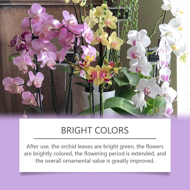 Orchid Fertilizer for Brighter Blooms & Strong Roots
