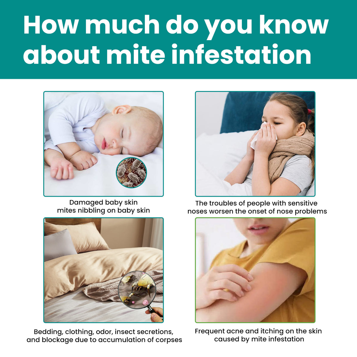 Mite Control Sachets for Bedding & Travel Protection