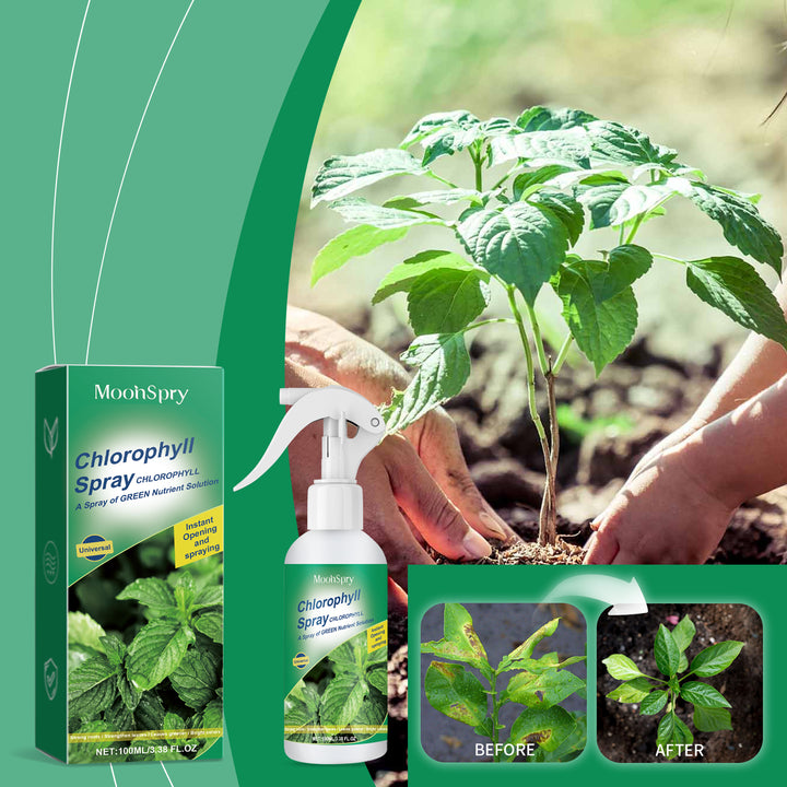 Chlorophyll Plant Spray for Greener, Healthier Growth