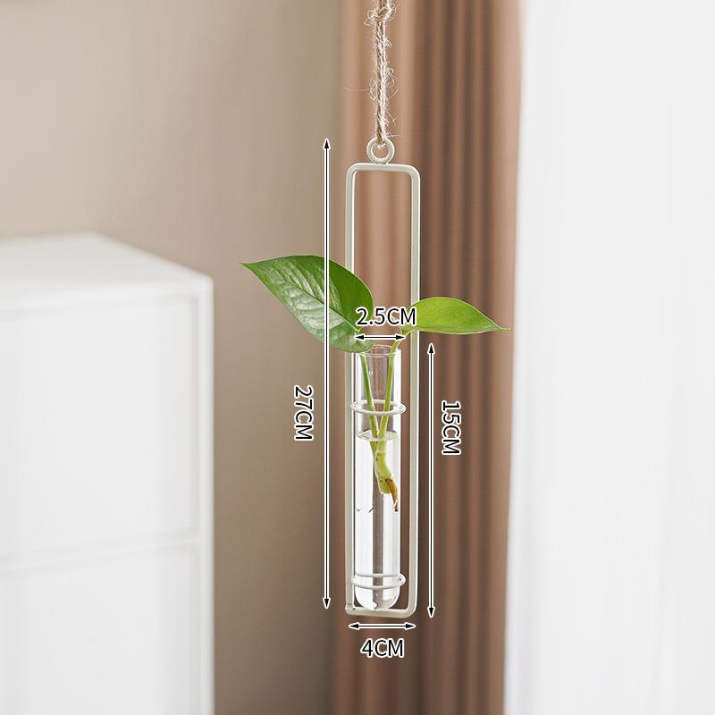 Glass Hydroponic Vase for Stylish Wall Plant Display