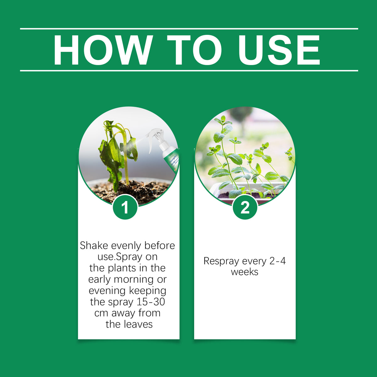 Chlorophyll Plant Spray for Greener, Healthier Growth