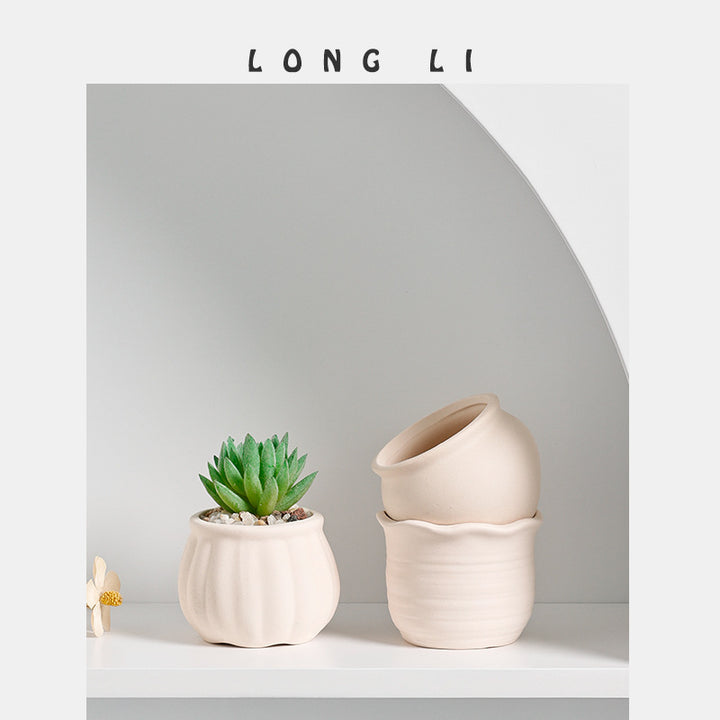 Matte Ceramic Succulent Pot for Desk and Shelf Decor