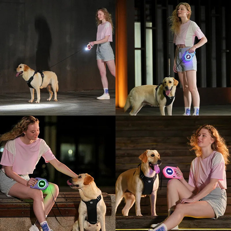 5M Retractable Dog Leash With LED Night Visibility