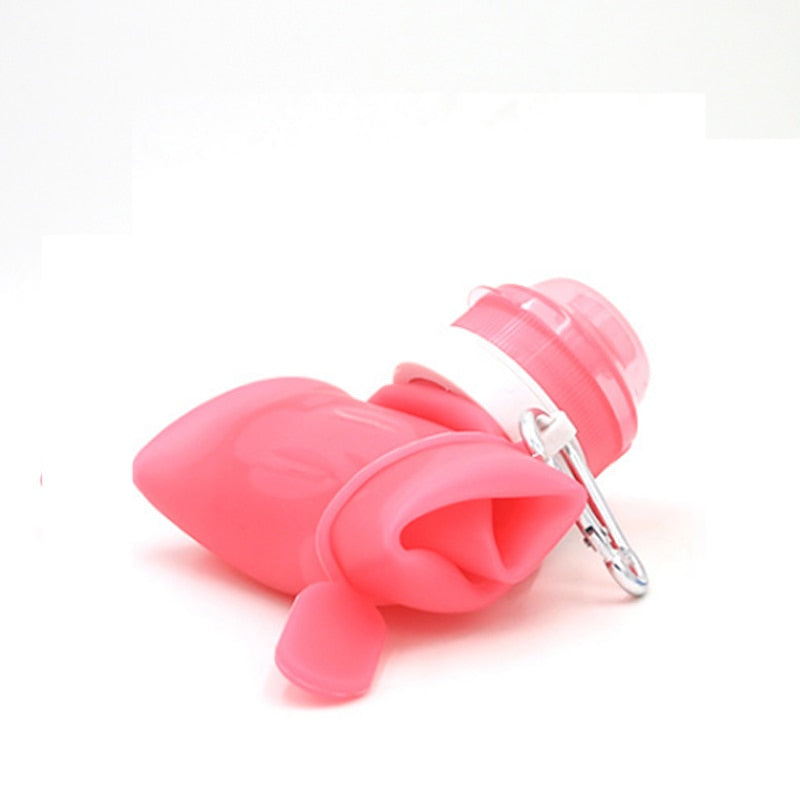 Collapsible Silicone Water Bottle 600ml for Hiking