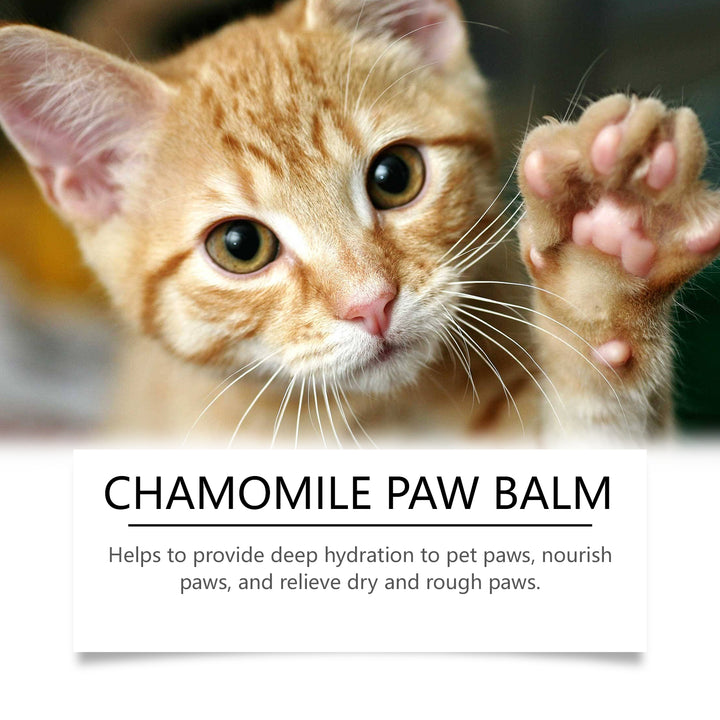 Dog Paw Balm for Dry, Cracked Pads | Chamomile Care