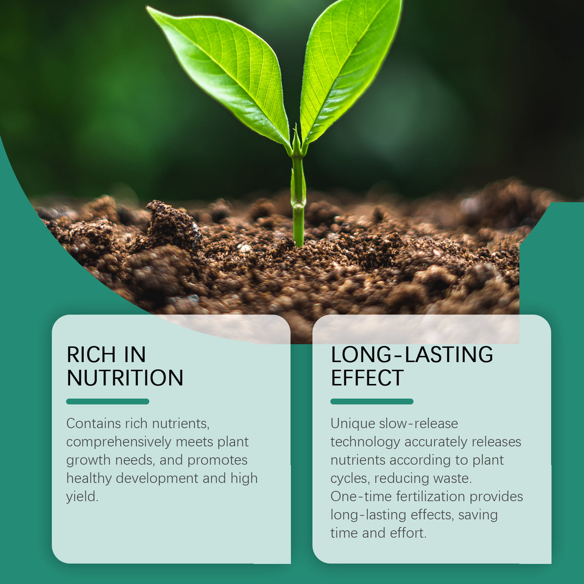Plant Fertilizer Sticks for 60-Day Indoor Plant Growth