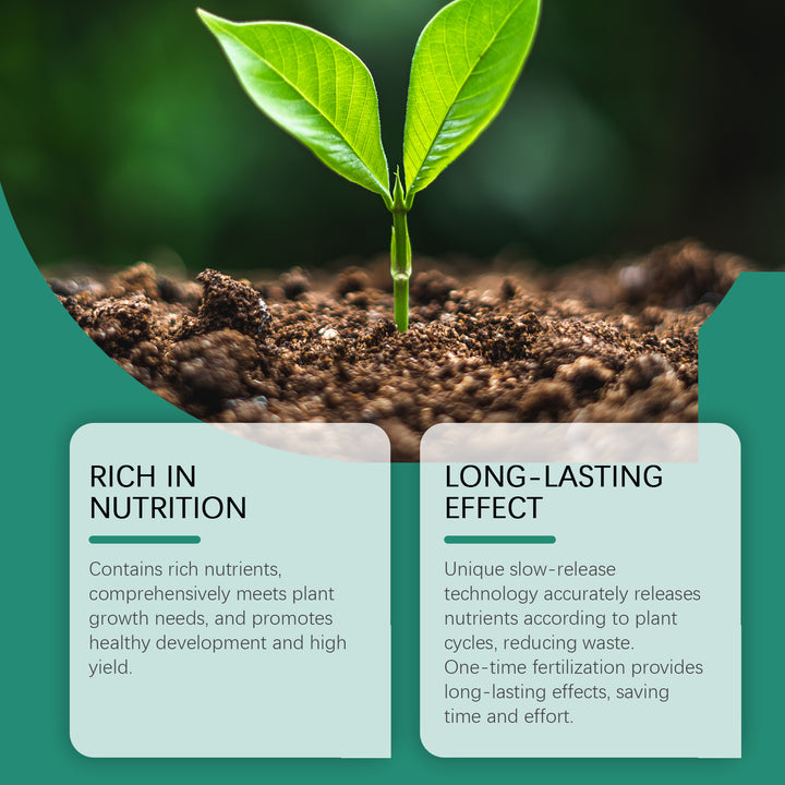 Plant Fertilizer Sticks for 60-Day Indoor Plant Growth