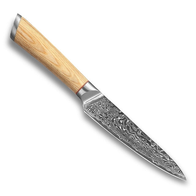 67-Layer VG10 Damascus Kitchen Knife Set for Every Task
