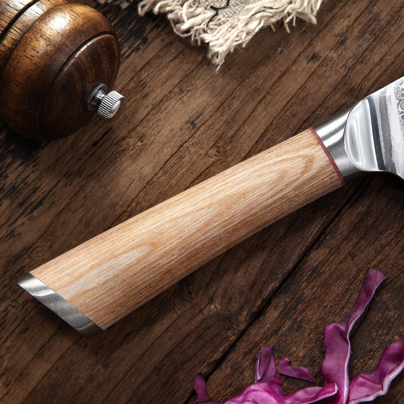67-Layer VG10 Damascus Kitchen Knife Set for Every Task