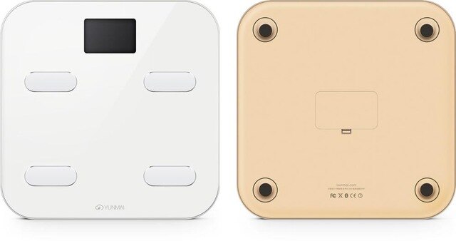 Smart Scale with Body Fat & 10 Metrics — WiFi App Tracking