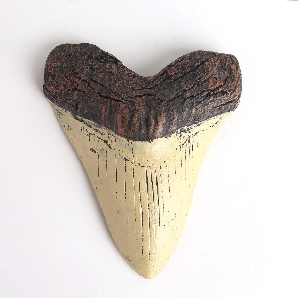 Shark Tooth Sculpture – Bold Ocean-Inspired Home Decor