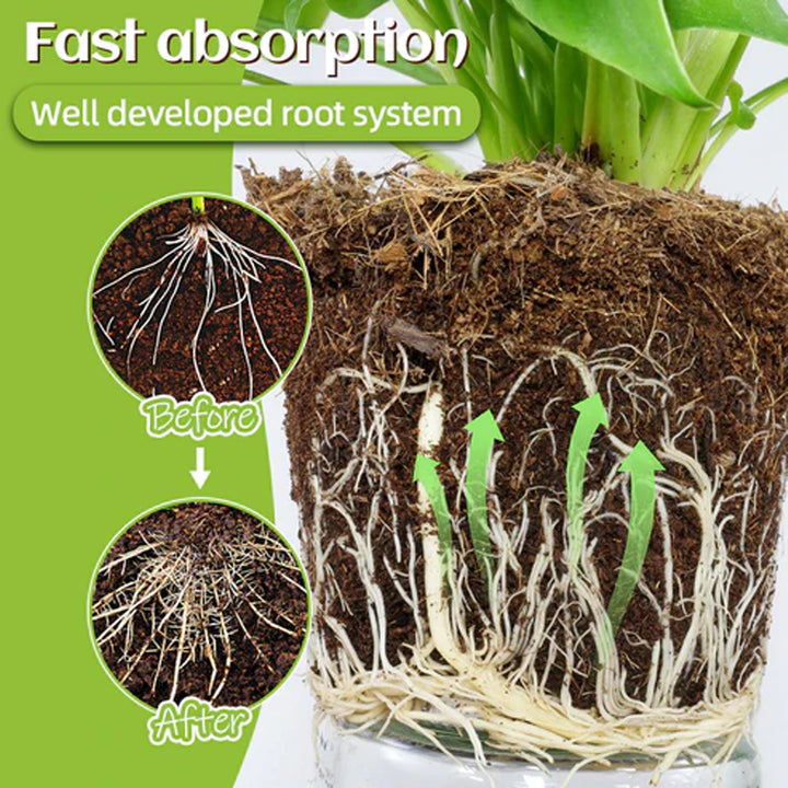 Plant Fertilizer Sticks for Stronger Roots & Growth