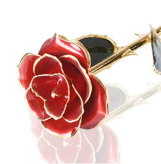 24K Gold Plated Eternal Rose Gift With Display Stand