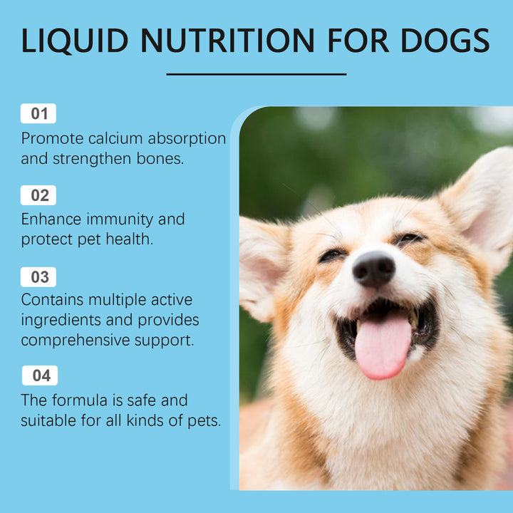 Pet Vitamin Supplement Drops for Bone & Immune Support