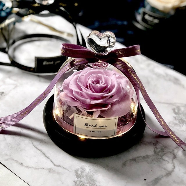 Preserved Rose Dome Gift With Warm Illuminated Lights