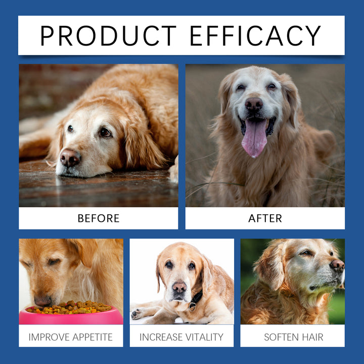 Senior Dog Trace Element Tablets for Daily Vitality