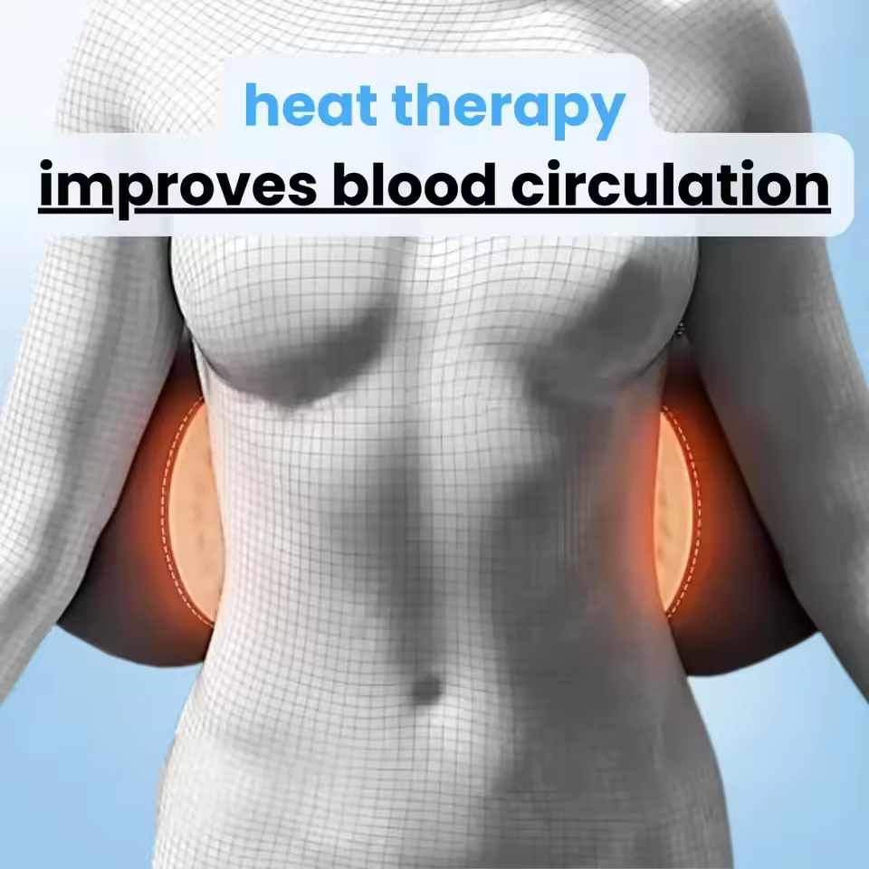 Lumbar Support Cushion with Traction, Vibration and Heat