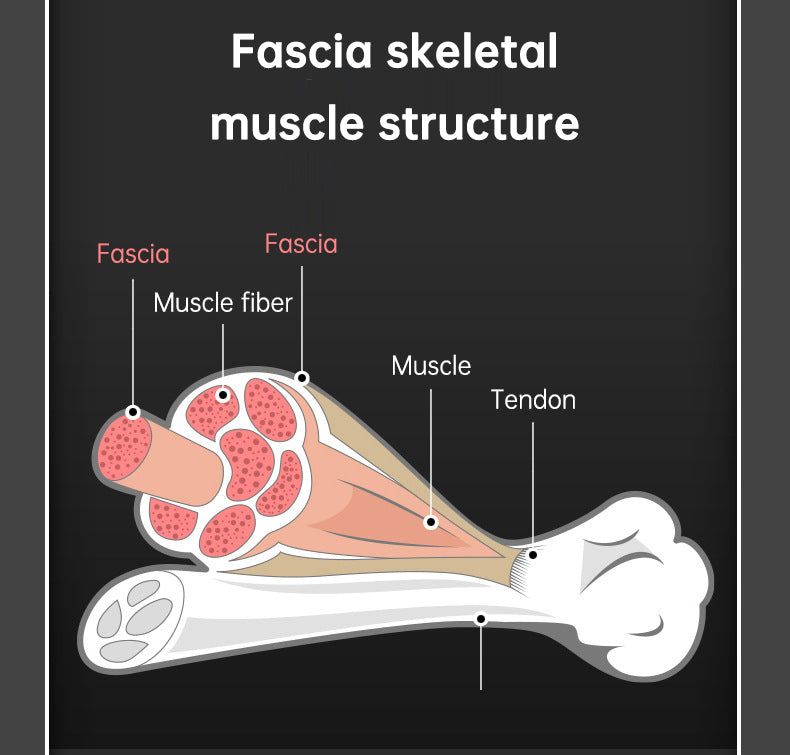 900-Turn Rotary Fascia Gun — Deep Muscle Recovery