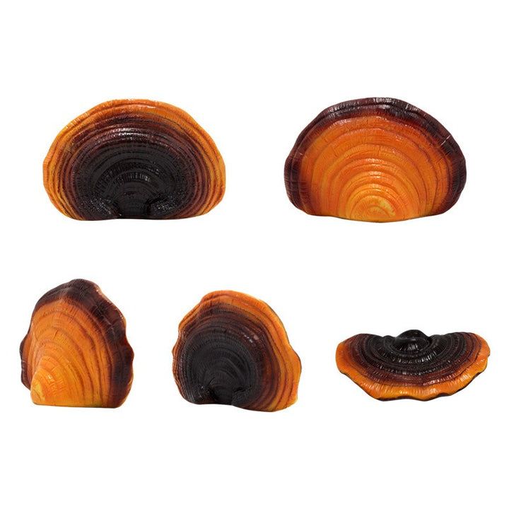 Lifelike Outdoor Resin Reishi Mushroom Garden Decor