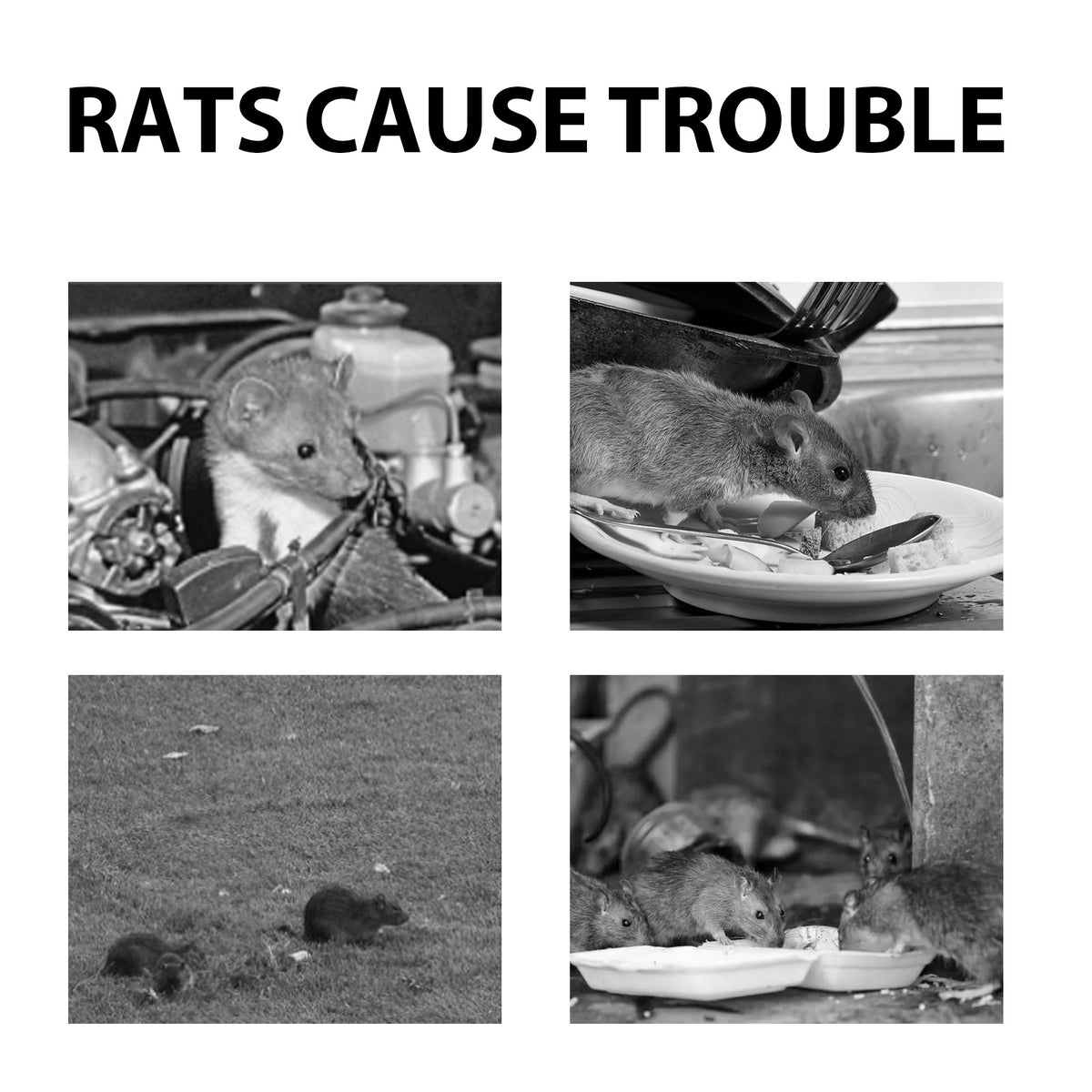 Mouse Repellent Tablets for Home, Car, Garden & More