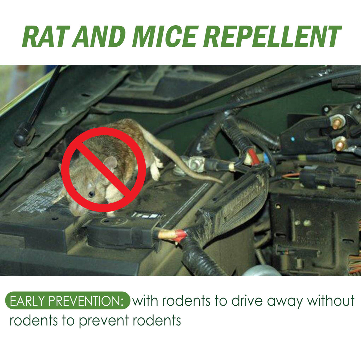 Rat Repellent Pills for Cars, Home & Outdoor Areas