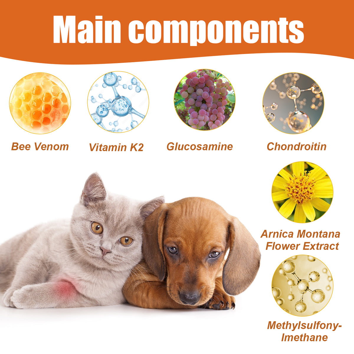 Pet Joint Care Oil for Daily Comfort & Flexibility
