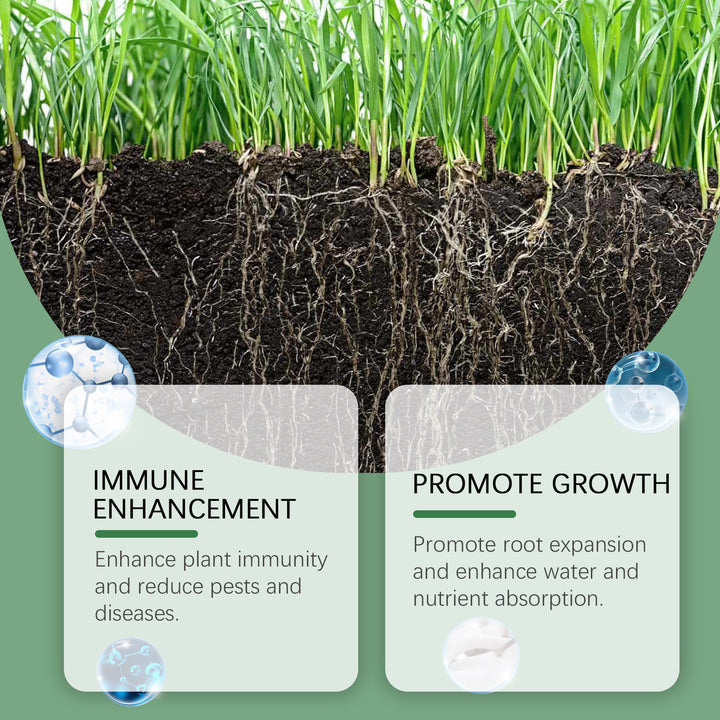 Plant Root Powder for Stronger Seedlings and Growth