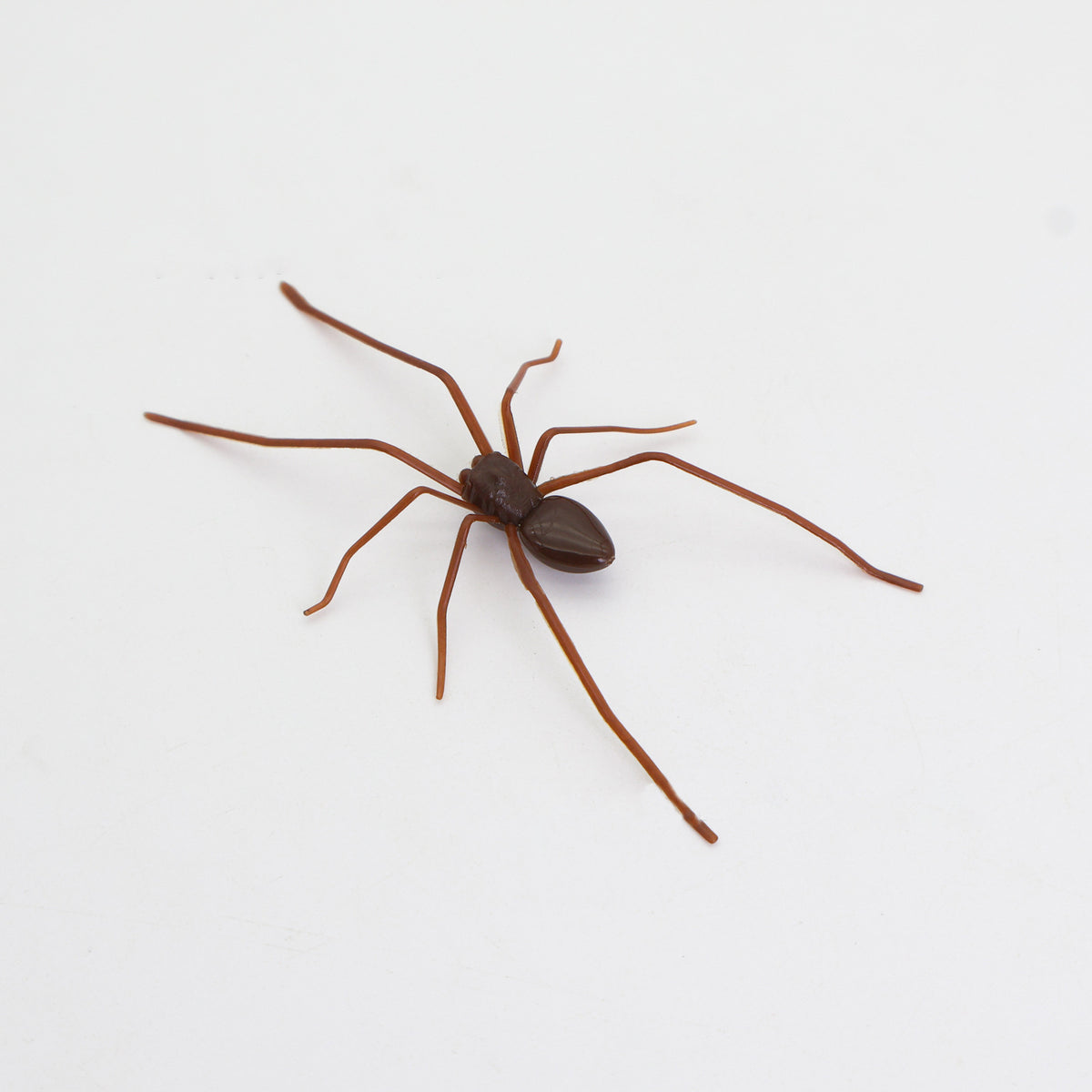 Realistic Spider Decoration for Instant Spooky Style