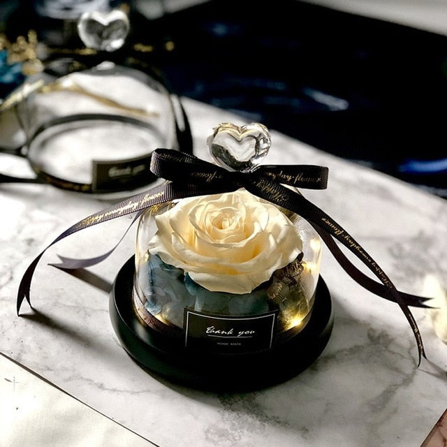 Preserved Rose Dome Gift With Warm Illuminated Lights