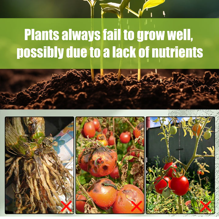 Plant Fertilizer Sticks for Stronger Roots & Growth